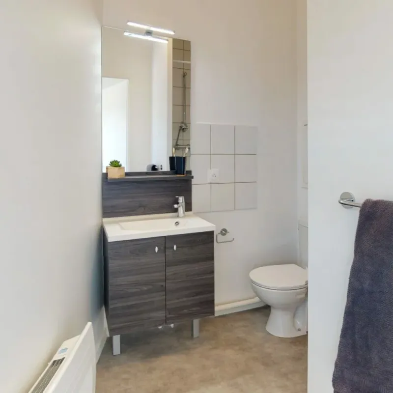 Salle d'eau avec meuble vasque et WC